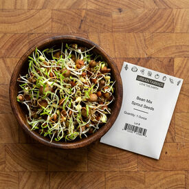 Bean Mix, Sprout Seeds